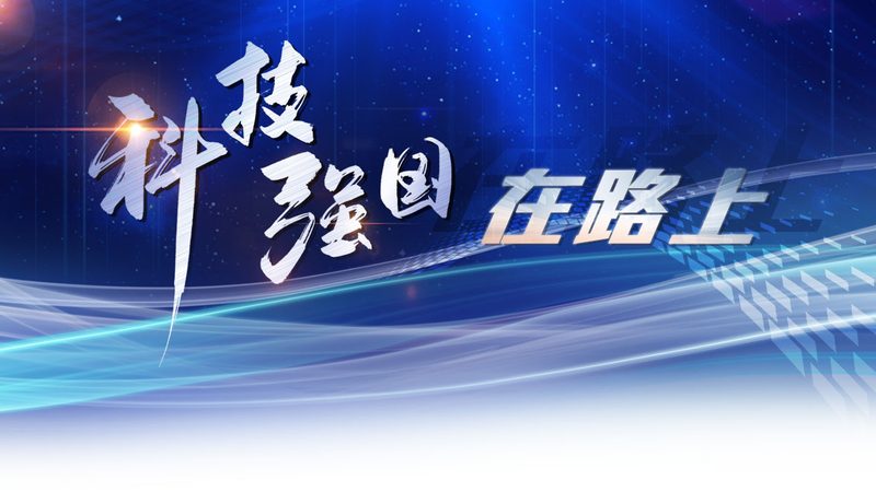 科技服务项目招标报价方案：为什么低价未必是赢家